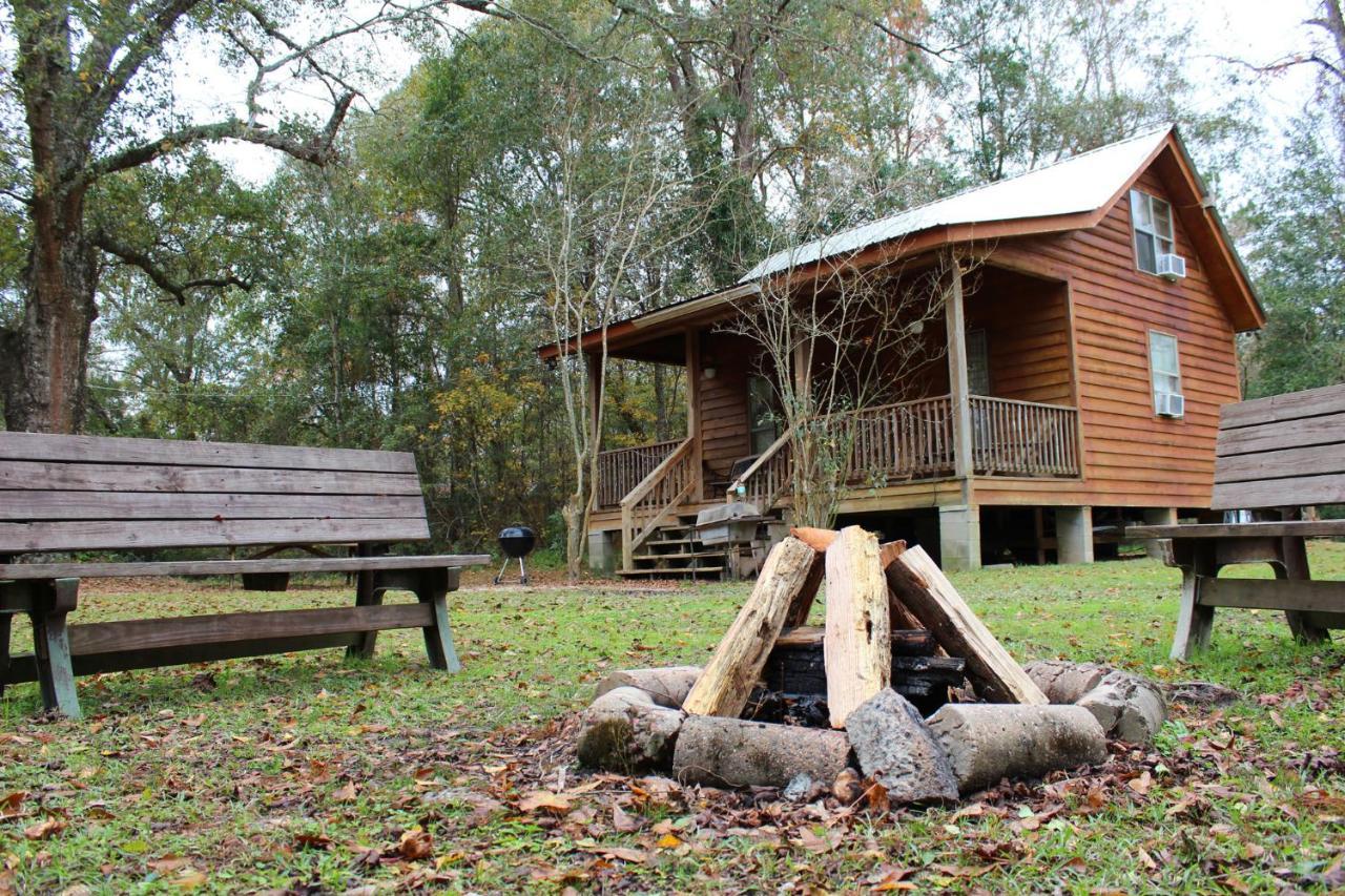 Bed and Breakfast Berry Creek Cabins Isabel Exterior foto
