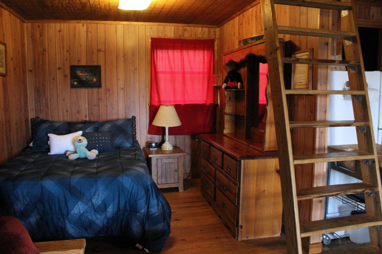 Bed and Breakfast Berry Creek Cabins Isabel Exterior foto