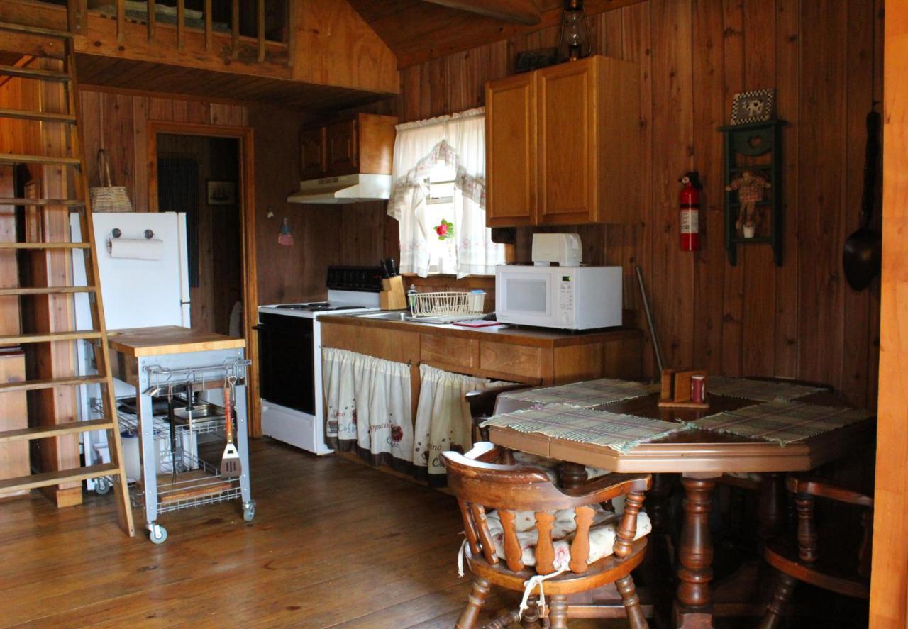 Bed and Breakfast Berry Creek Cabins Isabel Exterior foto