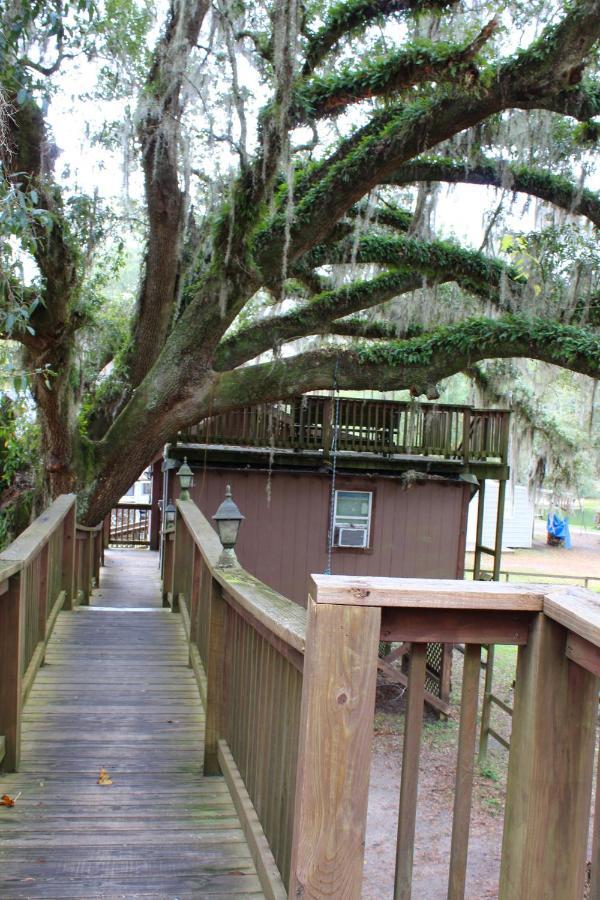 Bed and Breakfast Berry Creek Cabins Isabel Exterior foto