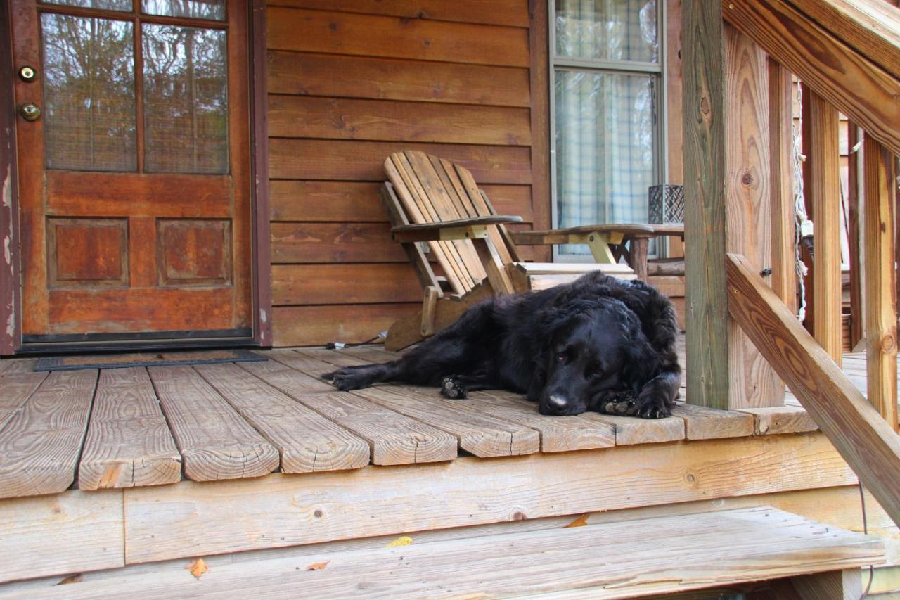 Bed and Breakfast Berry Creek Cabins Isabel Exterior foto